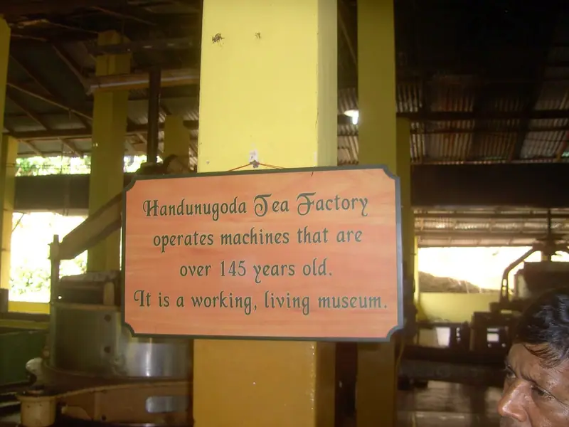 Old machinery inside the Handunugoda tea factory near Ahangama