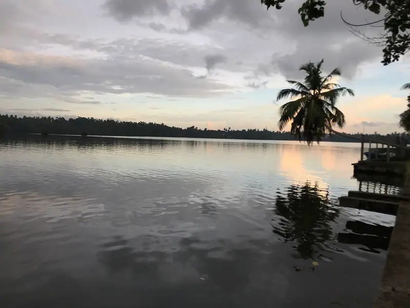 The Bentota river in the evening, seen from the Aluthgama bank