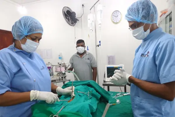 Best Care Animal Hospital, from the business's own website
