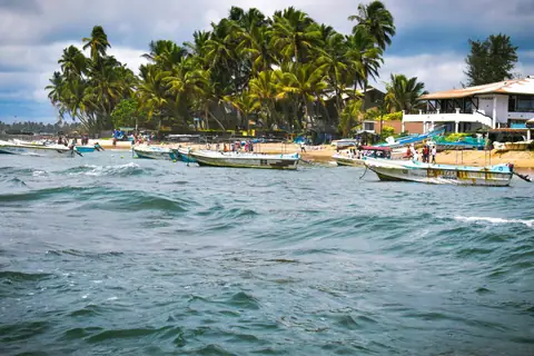 Boats and palm trees along Hikkaduwa beach