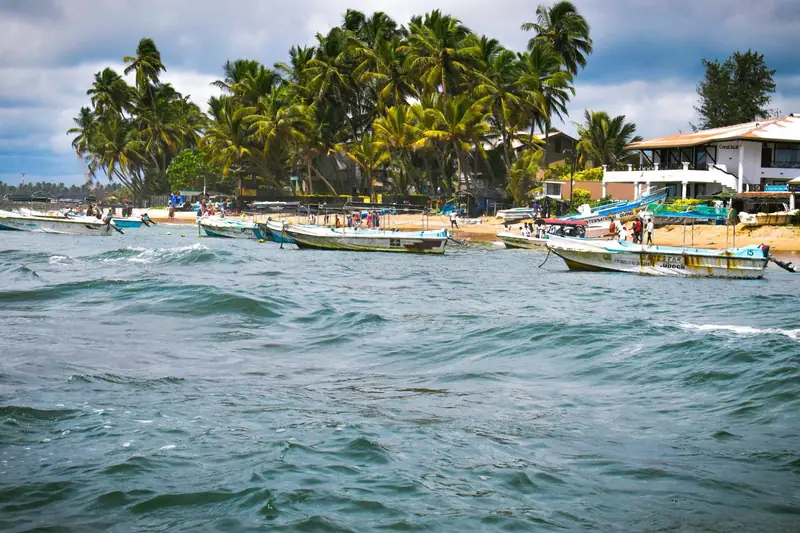Boats and palm trees along Hikkaduwa beach