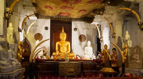 A gilded Buddha framed by elephant tusks inside the Temple of the Tooth