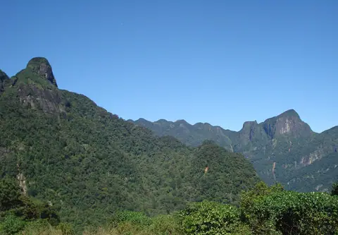 Forested ridges and peaks of the Knuckles Mountain Range