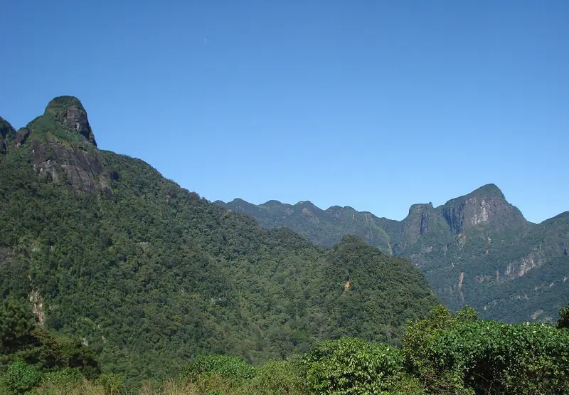 Forested ridges and peaks of the Knuckles Mountain Range