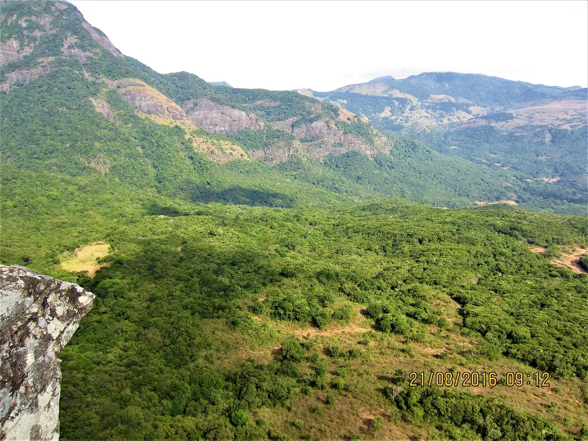 Green slopes and rock faces in the Knuckles Mountain Range