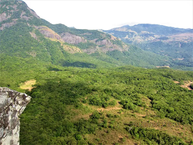 Green slopes and rock faces in the Knuckles Mountain Range