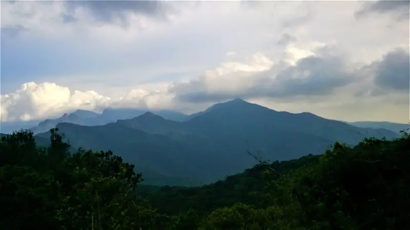 Evening light over the mountains of the Knuckles range