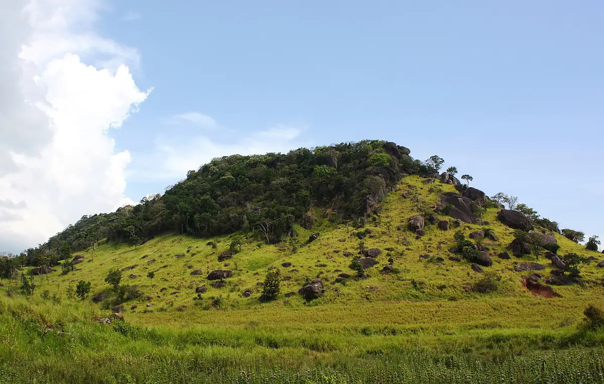 A grassy hill in Maduru Oya National Park