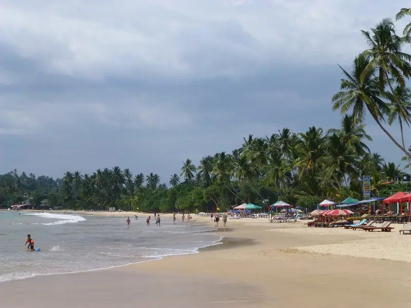 Palms and sun loungers along Mirissa beach
