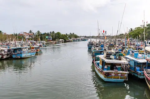 Fishing boats moored in the Negombo lagoon