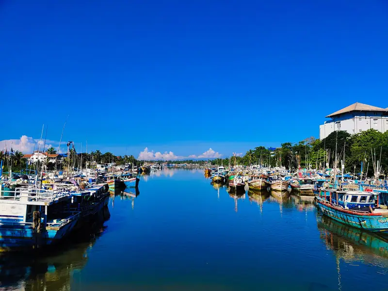 Boats resting on Negombo Lagoon