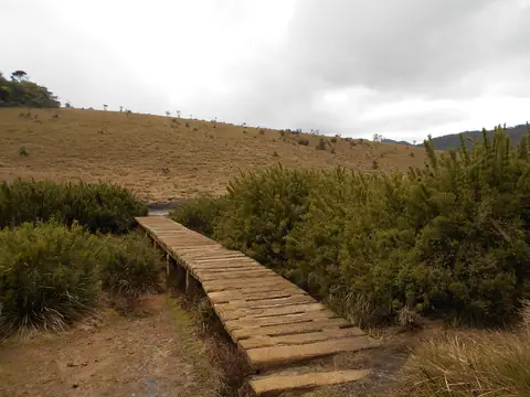 A wooden boardwalk across the grassland of Horton Plains