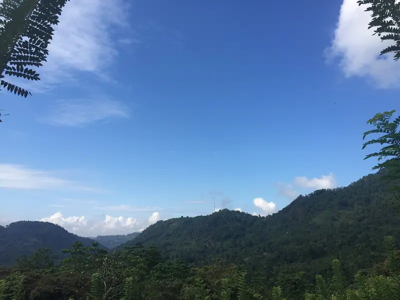 Forested hills around Ratnapura