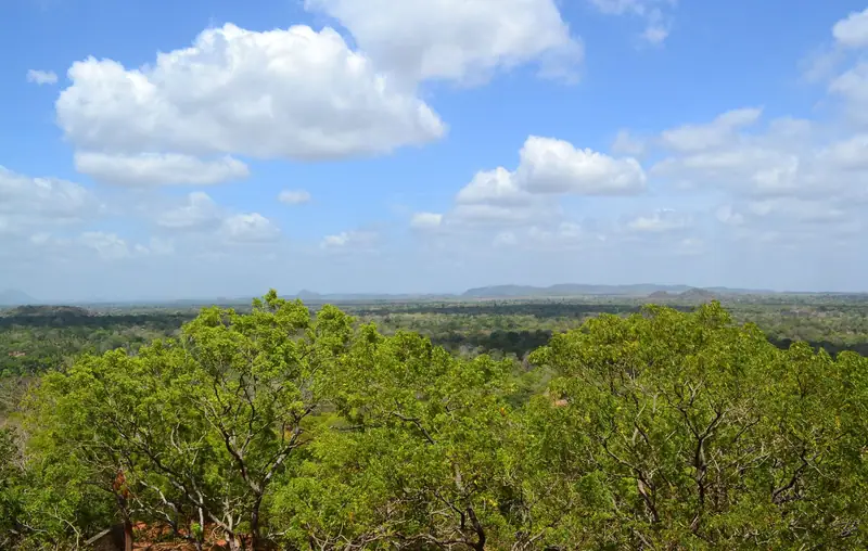 View across the forest and plains from Sigiriya rock