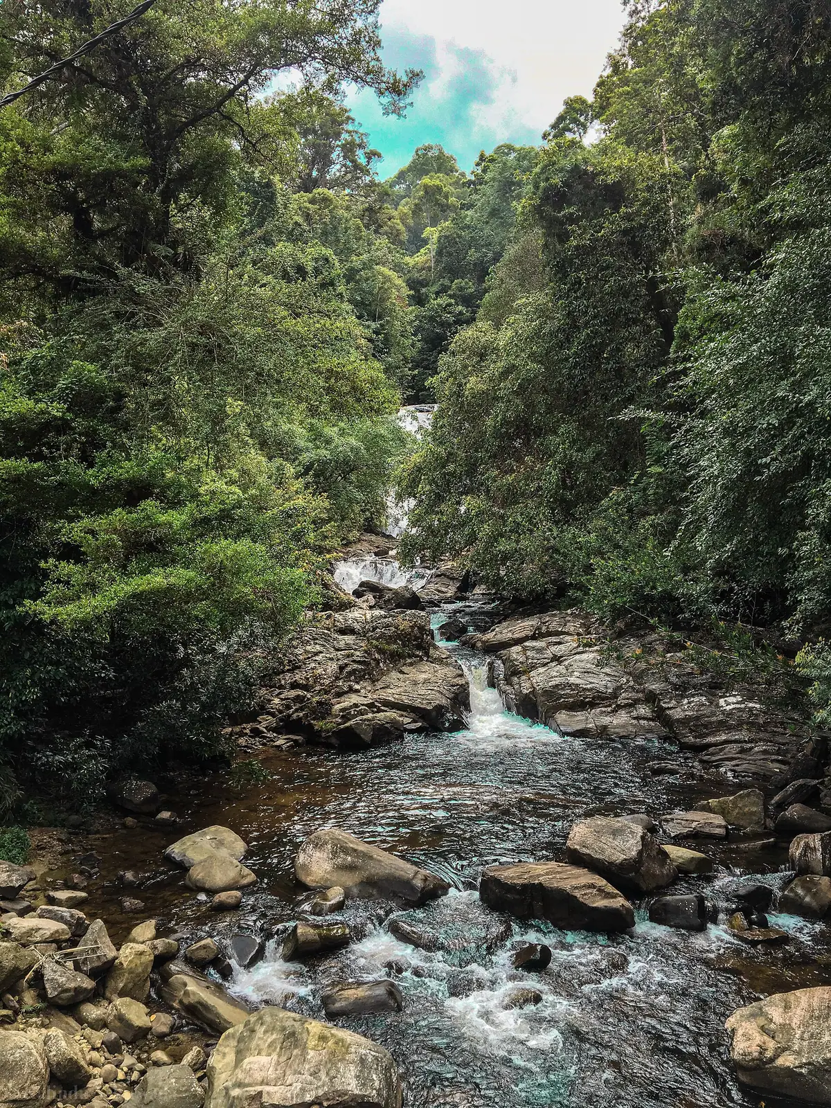 A rocky stream running through the Sinharaja rainforest