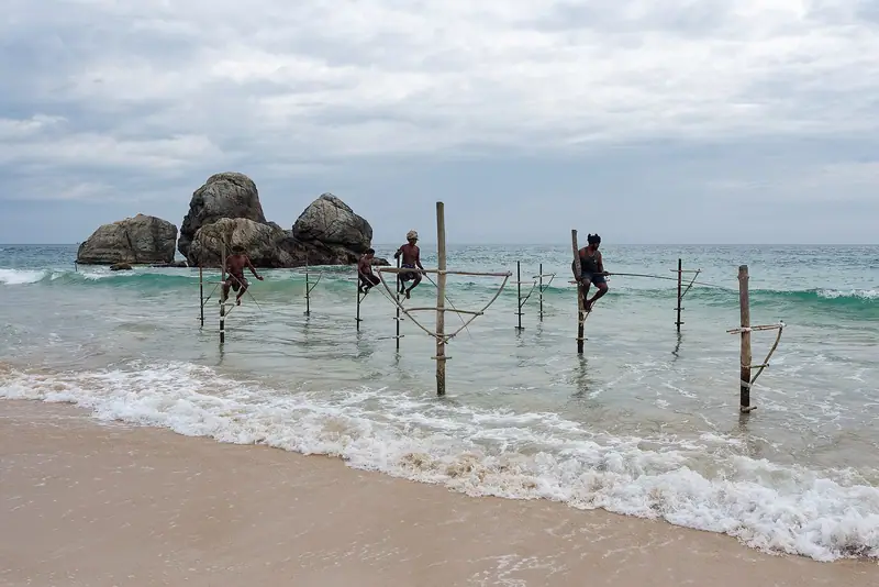 Stilt fishermen on their poles in the surf at Koggala