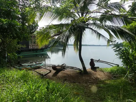 A palm-shaded shore of Koggala Lagoon