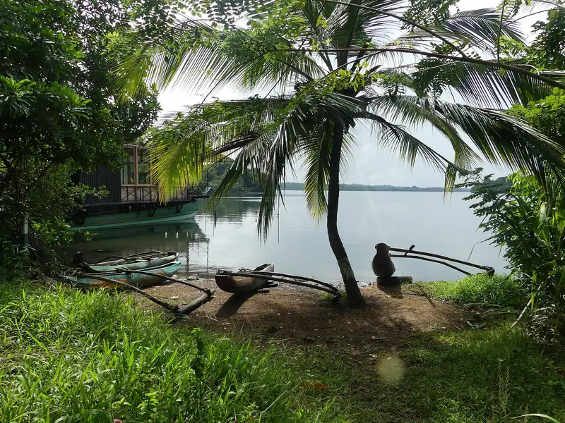 A palm-shaded shore of Koggala Lagoon
