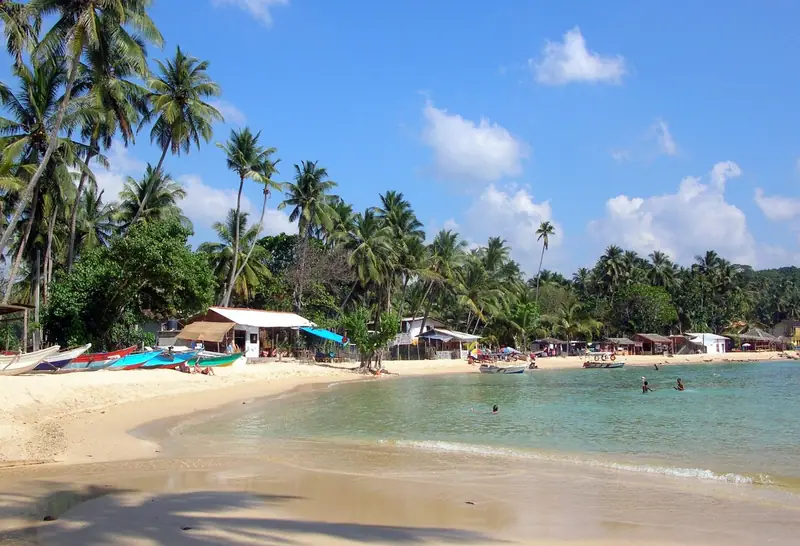 Palms and boats along the curve of Unawatuna beach