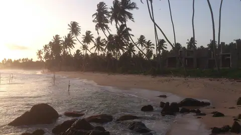Sunset over the palms at Dalawella beach